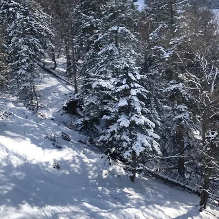 Cosy A 45 M² Proche Pistes De