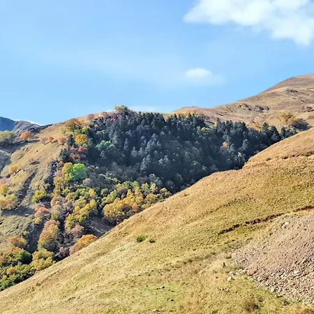 Daire Cosy A 45 M² Proche Pistes De Bagnères-de-Luchon