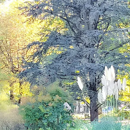 Cosy A 45 M² Proche Pistes De * Bagnères-de-Luchon