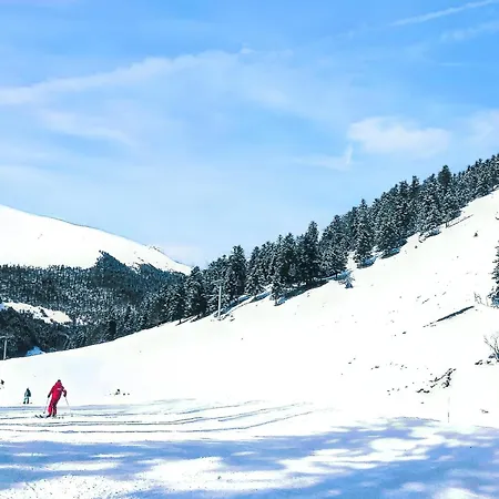 Cosy A 45 M² Proche Pistes De Lejlighed Bagnères-de-Luchon
