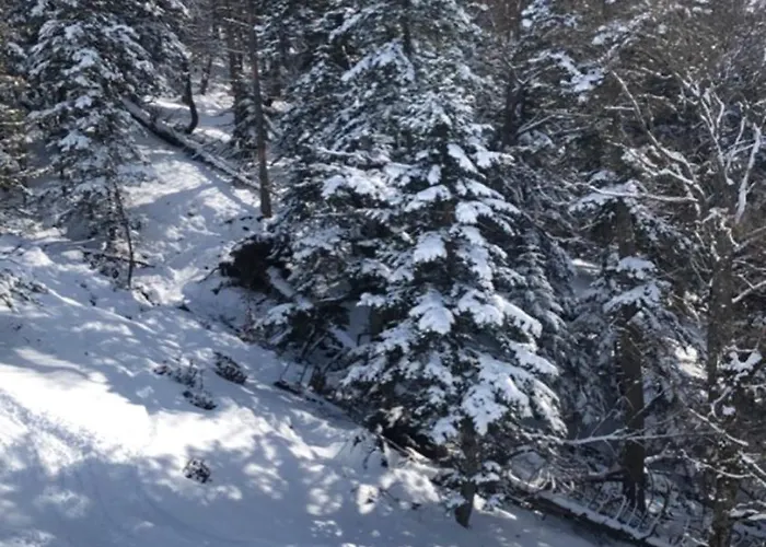 Cosy A 45 M² Proche Pistes De