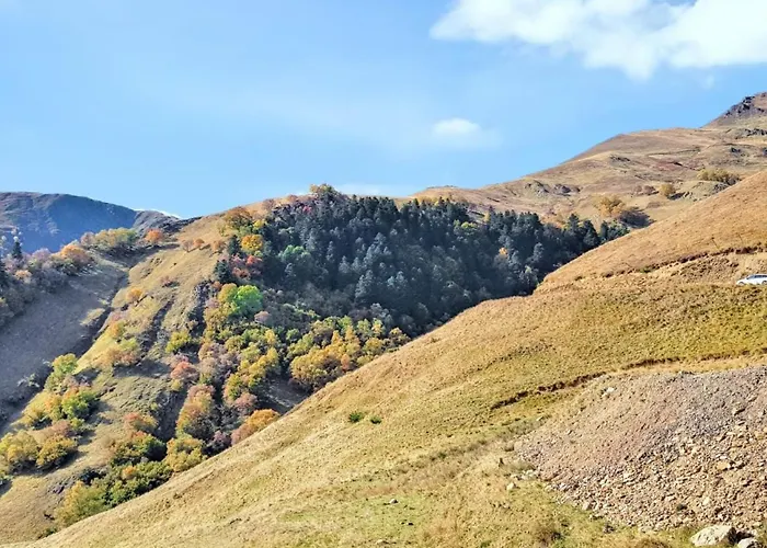 Daire Cosy A 45 M² Proche Pistes De Bagnères-de-Luchon