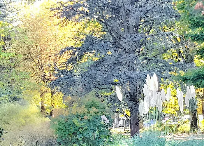 Cosy A 45 M² Proche Pistes De * Bagnères-de-Luchon